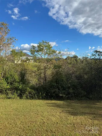 a view of a yard with an ocean
