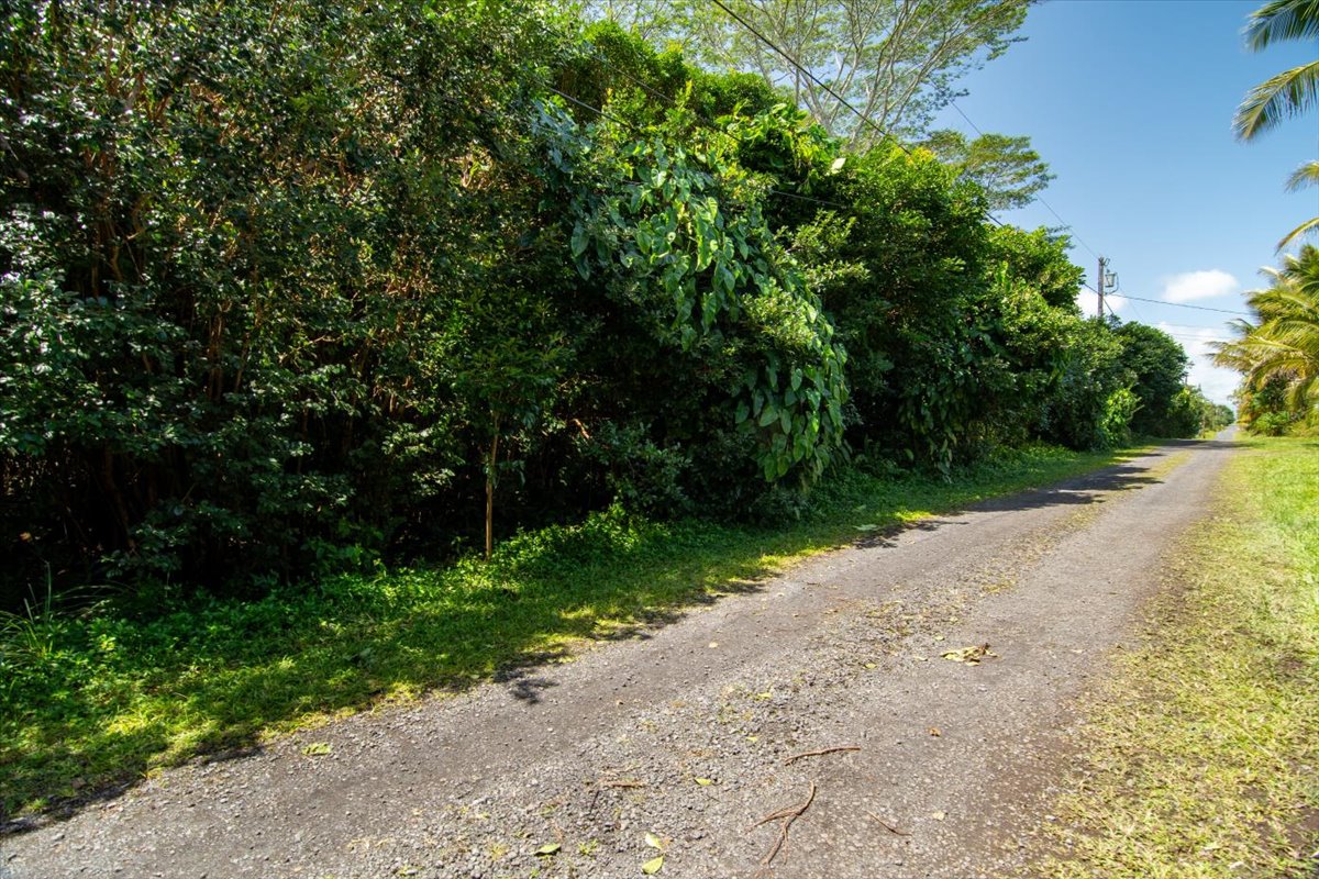 a view of a street with a yard