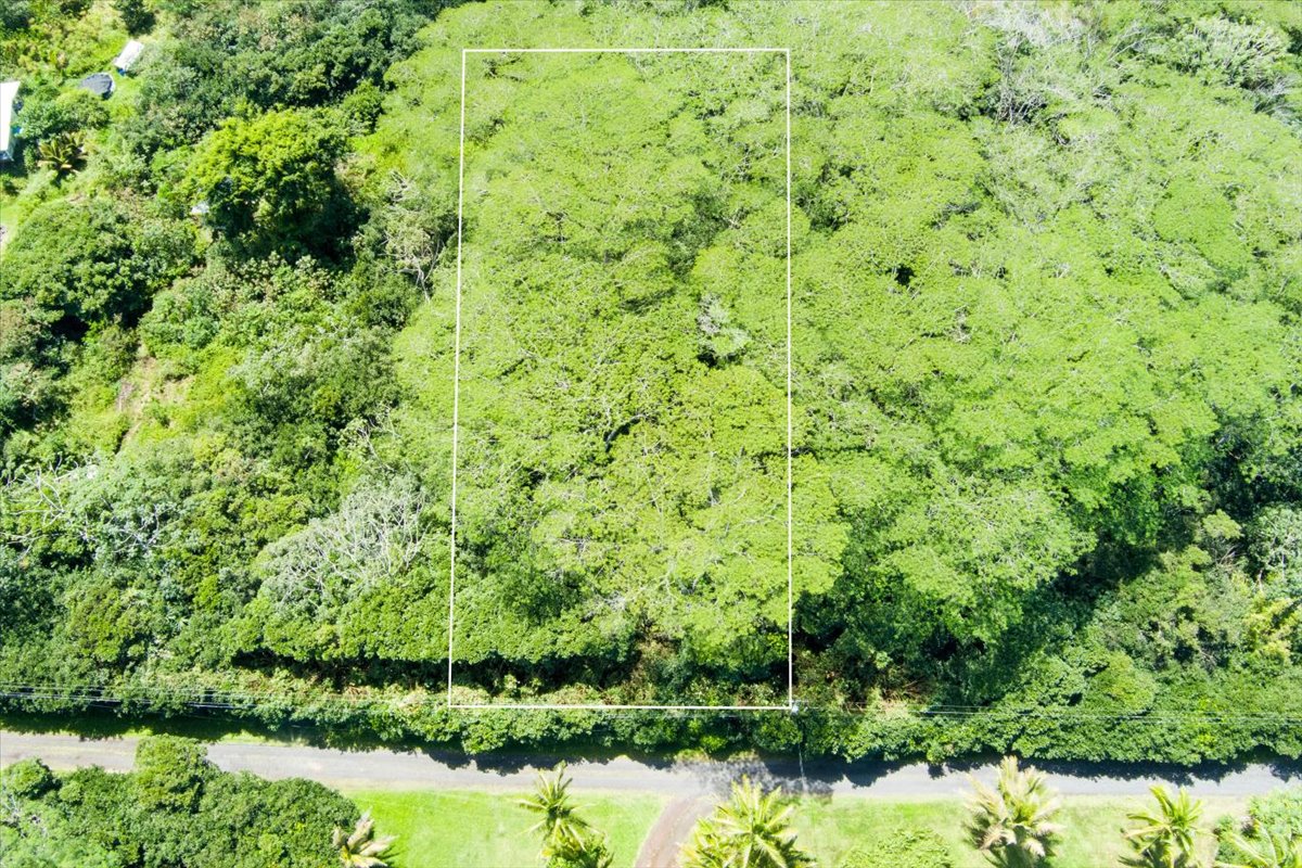 1401 3rd Avenue Keaau, HI 96749 - Photo 11 of 15 a view of a garden with a bench