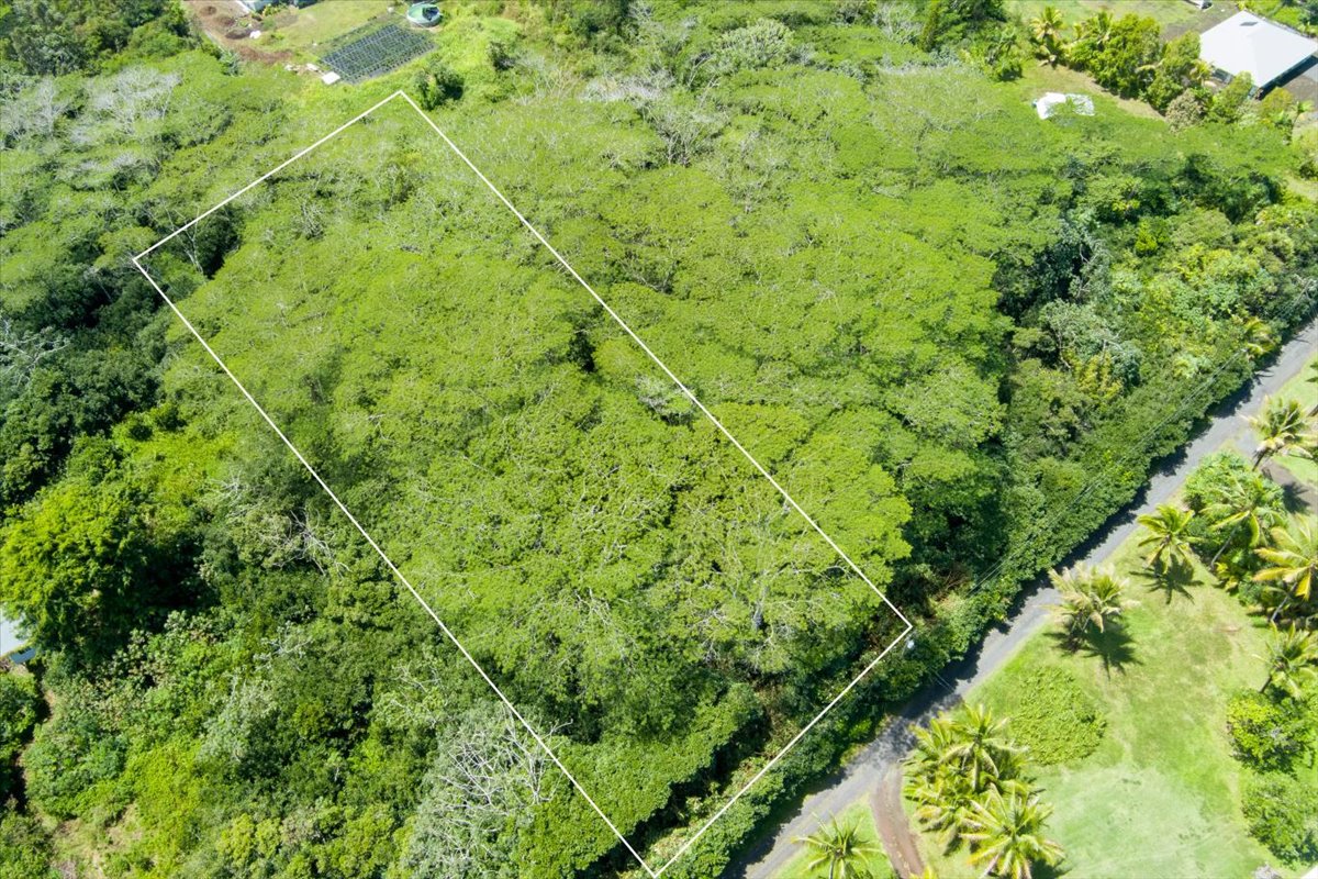 1401 3rd Avenue Keaau, HI 96749 - Photo 12 of 15 a view of a lush green forest