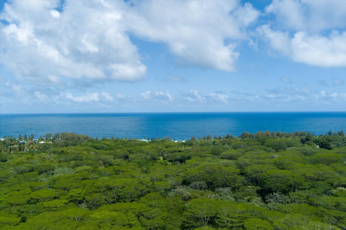 1401 3rd Avenue Keaau, HI 96749 - Photo 13 of 15 a view of a field with an ocean
