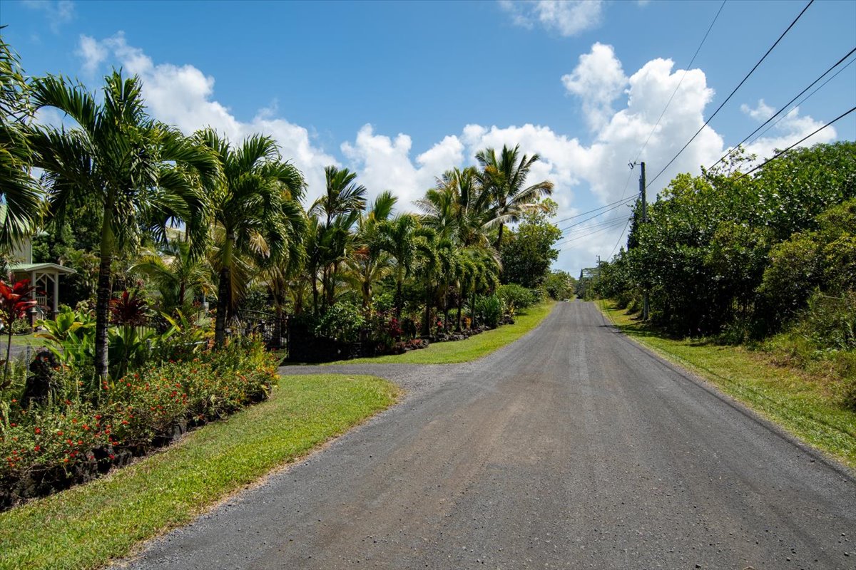 1401 3rd Avenue Keaau, HI 96749 - Photo 2 of 15 a view of a yard with a flower garden