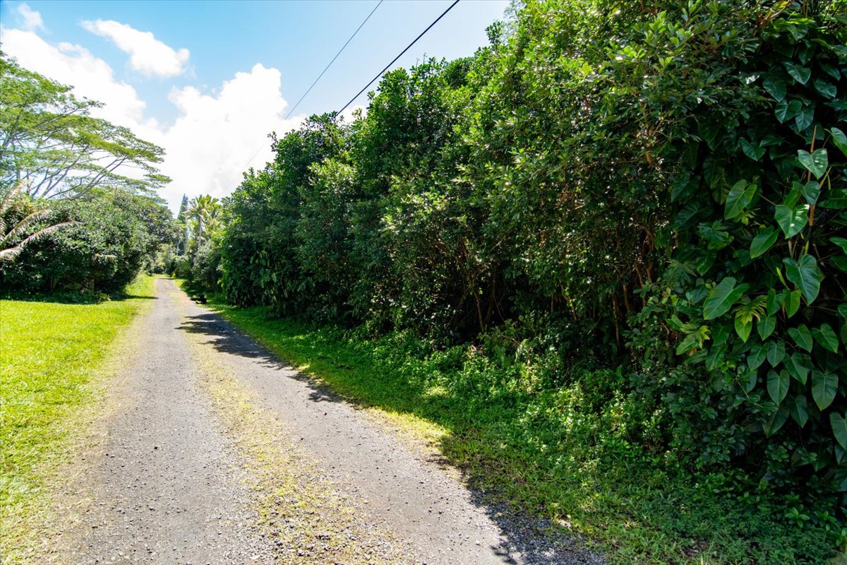 1401 3rd Avenue Keaau, HI 96749 - Photo 5 of 15 a view of a road with a yard