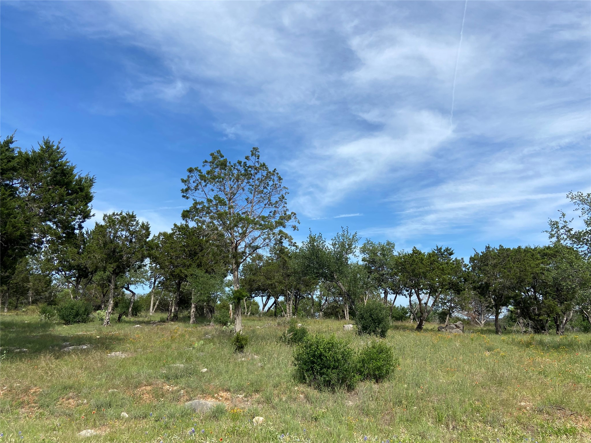 Lot 41062 Hi Ridge Road Horseshoe Bay, TX 78657 - Photo 3 of 7 View of nature