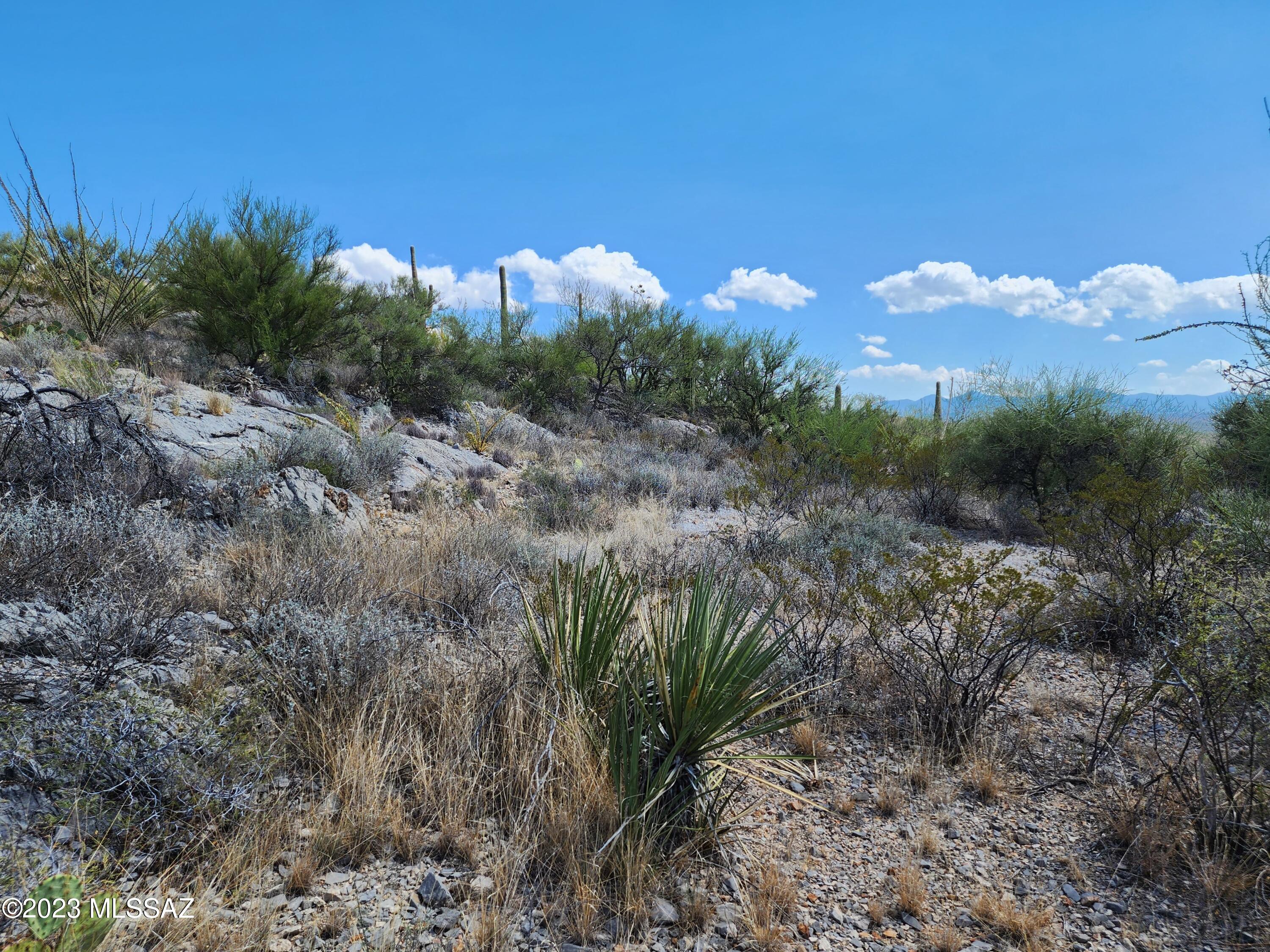 15722 East Colossal Cave Road Vail, AZ 85641 - Photo 14 of 22 Gallery Image 14