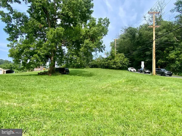 a view of green field with trees in the background