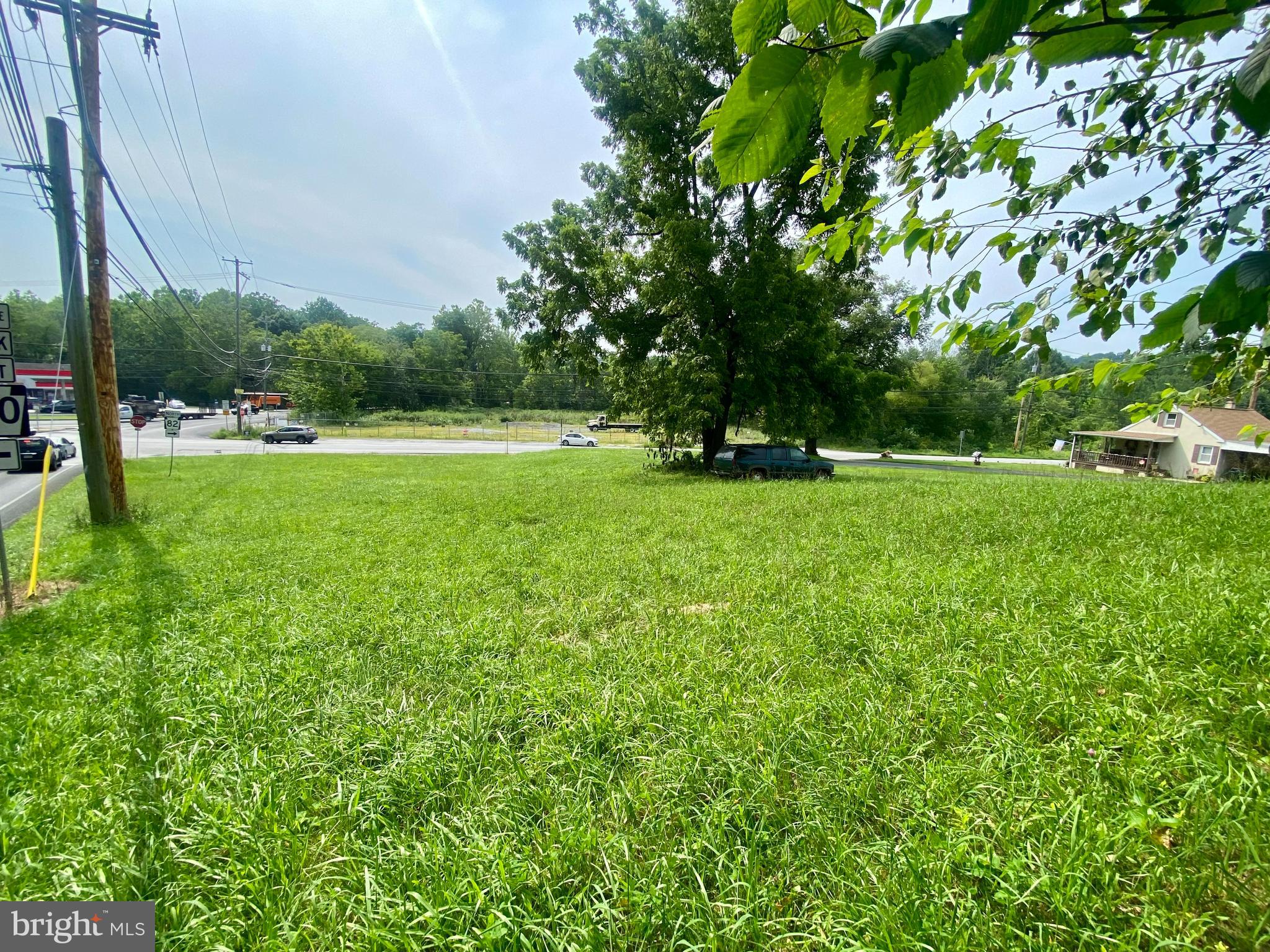 1101 South Manor Road Coatesville, PA 19320 - Photo 8 of 8 a view of a big yard with a tree
