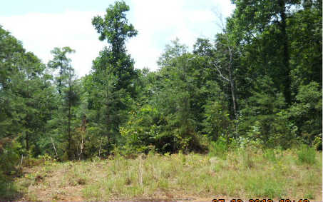 2 Lovingood Road Hiawassee, GA 30546 - Photo 1 of 1 Main View