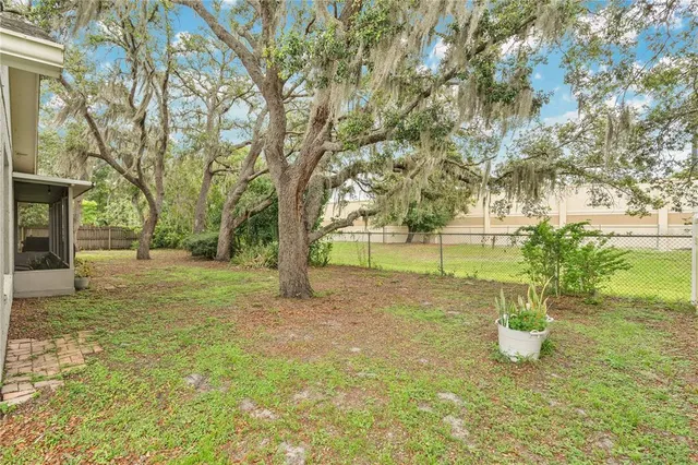 a view of a yard with tree s