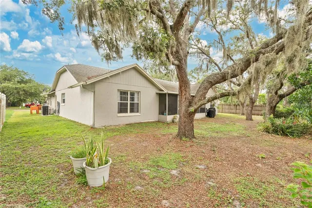 a view of a yard with plants and a tree