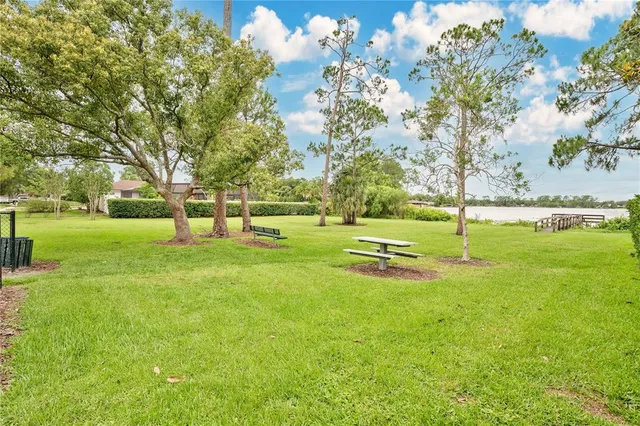 a view of a park with large trees