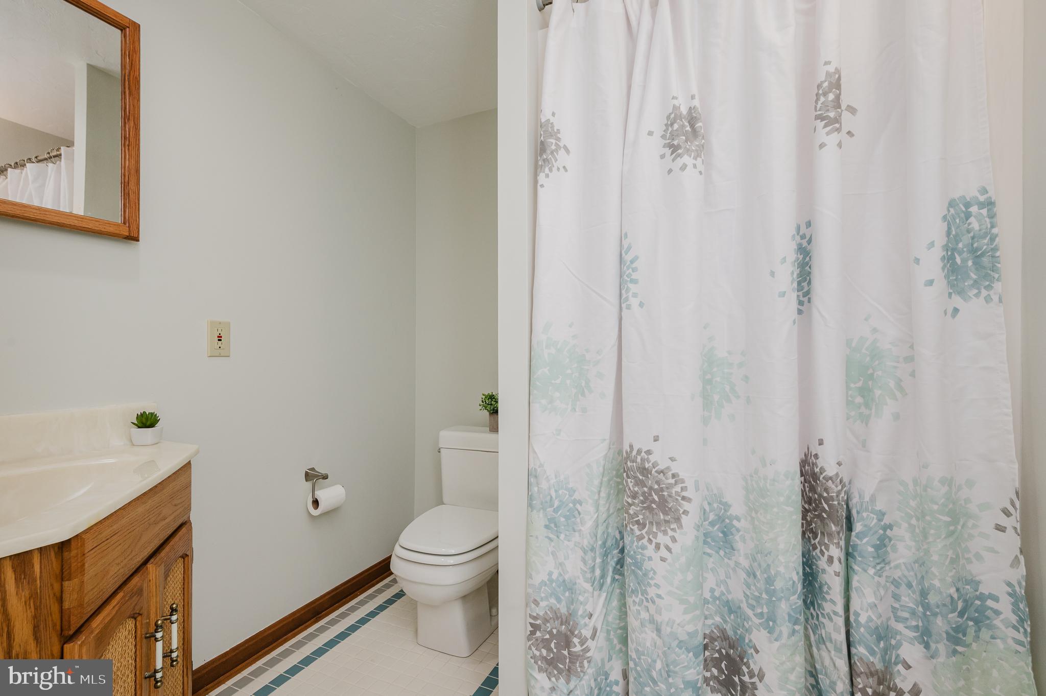 17007 Wesley Chapel Road Monkton, MD 21111 - Photo 36 of 54 Full Bath in Basement