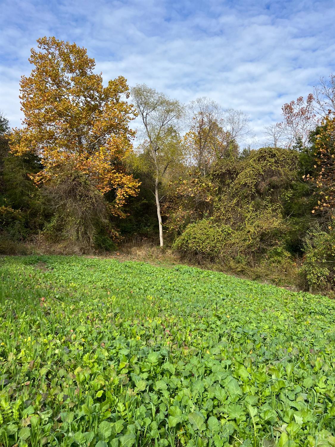 0 Harriet Road Hillsboro, OH 45133 - Photo 58 of 96