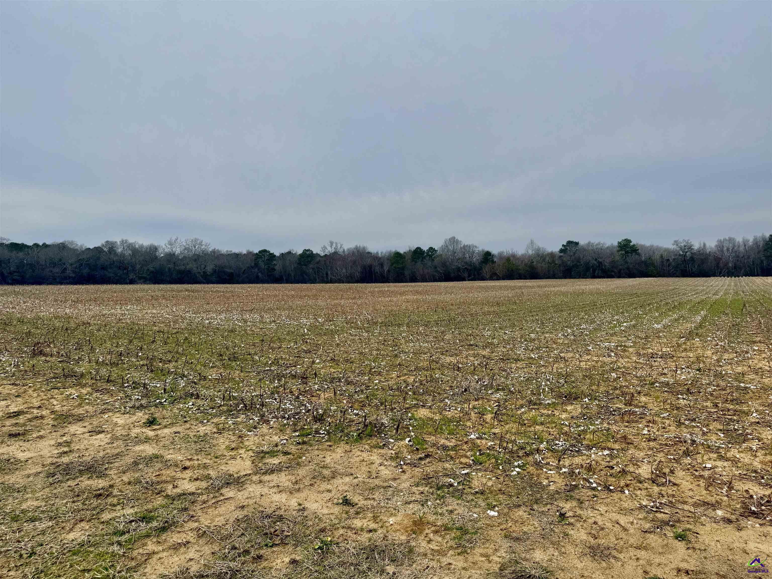 0 Whitfield Road Elko, GA 31025 - Photo 3 of 5
