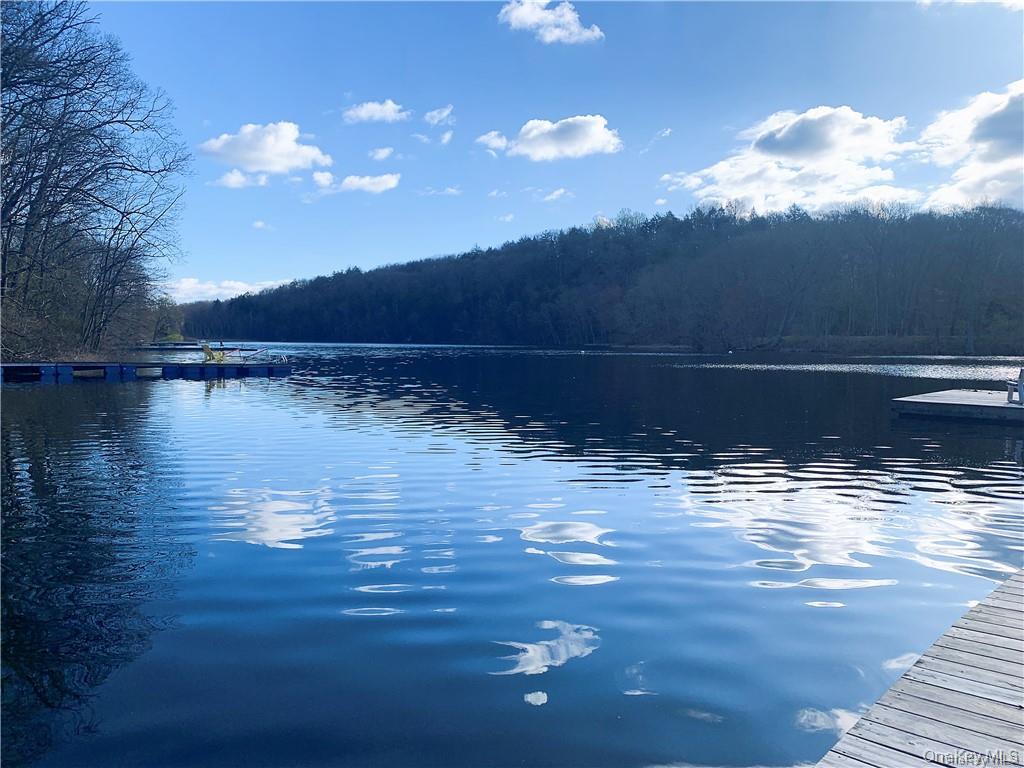 Sepasco Lake Road Rhinebeck, NY 12572 - Photo 2 of 10