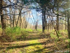 Sepasco Lake Road Rhinebeck, NY 12572 - Photo 6 of 10 a view of a yard with a tree