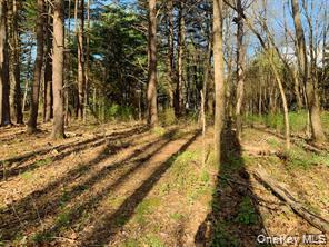 Sepasco Lake Road Rhinebeck, NY 12572 - Photo 7 of 10 a view of a yard with wooden fence