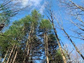 Sepasco Lake Road Rhinebeck, NY 12572 - Photo 8 of 10 a backyard of a house