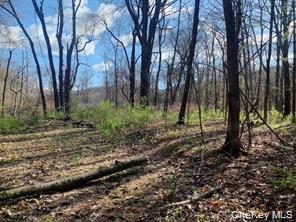 Sepasco Lake Road Rhinebeck, NY 12572 - Photo 9 of 10 a view of outdoor space with trees