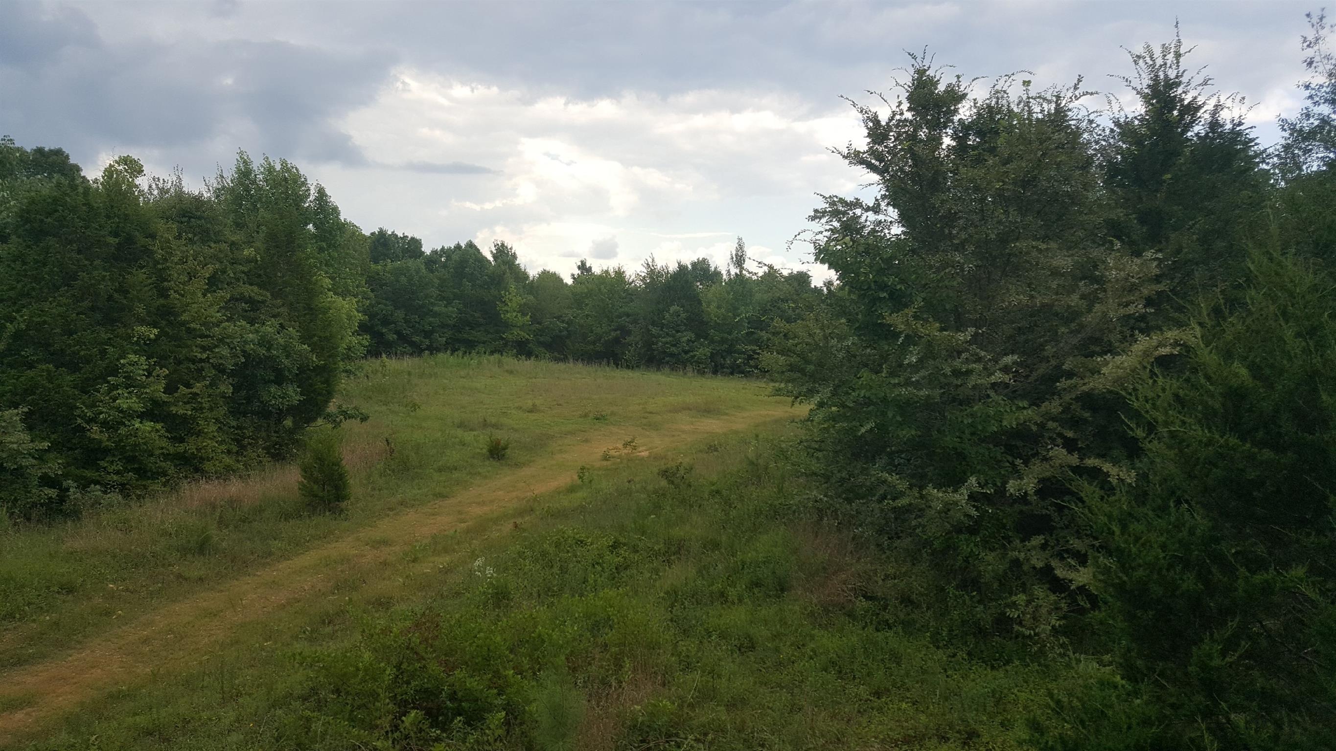 375 Lucas Ridge Lane Waverly, TN 37185 - Photo 3 of 6 Another Cleared Area for building.