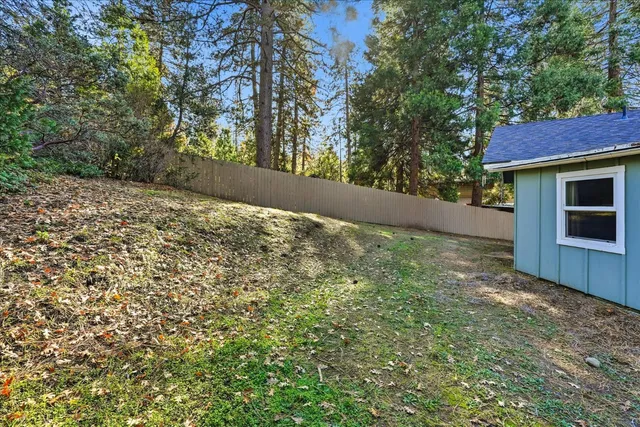 a view of trees with trees in the background