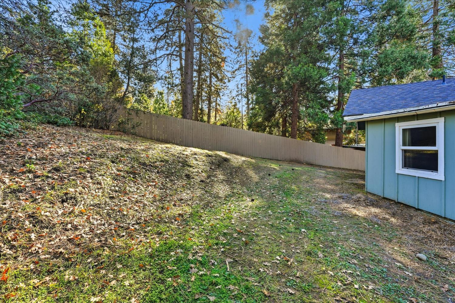 50740 Chu Ranch Road Oakhurst, CA 93644 - Photo 35 of 37 a view of backyard with green space