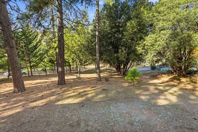 a view of dirt yard with a trees