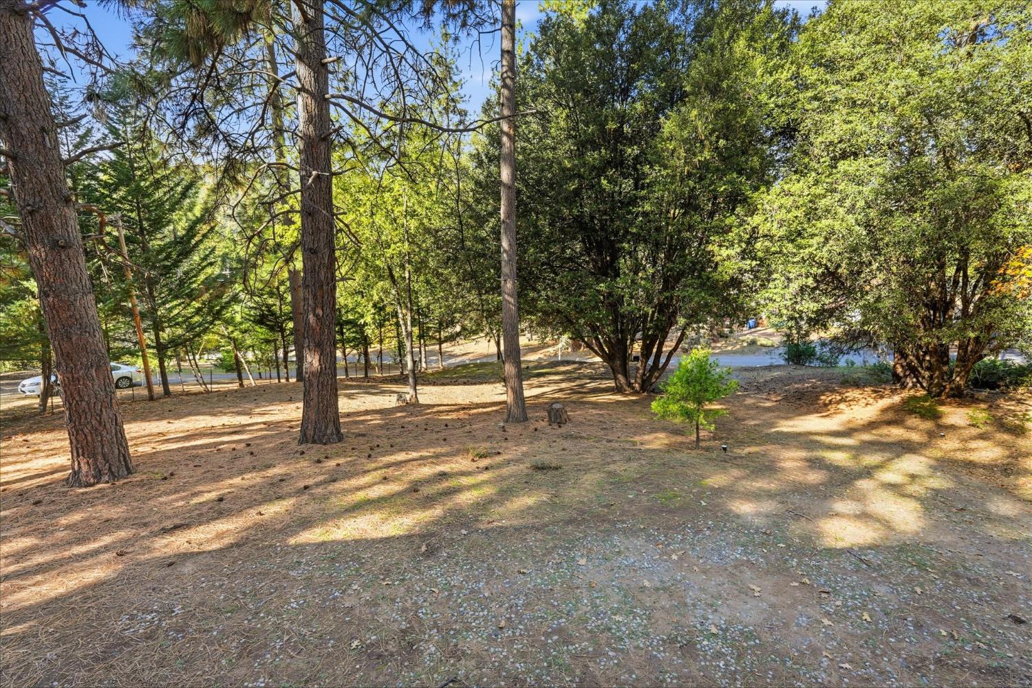 50740 Chu Ranch Road Oakhurst, CA 93644 - Photo 36 of 37 a view of trees with trees in the background