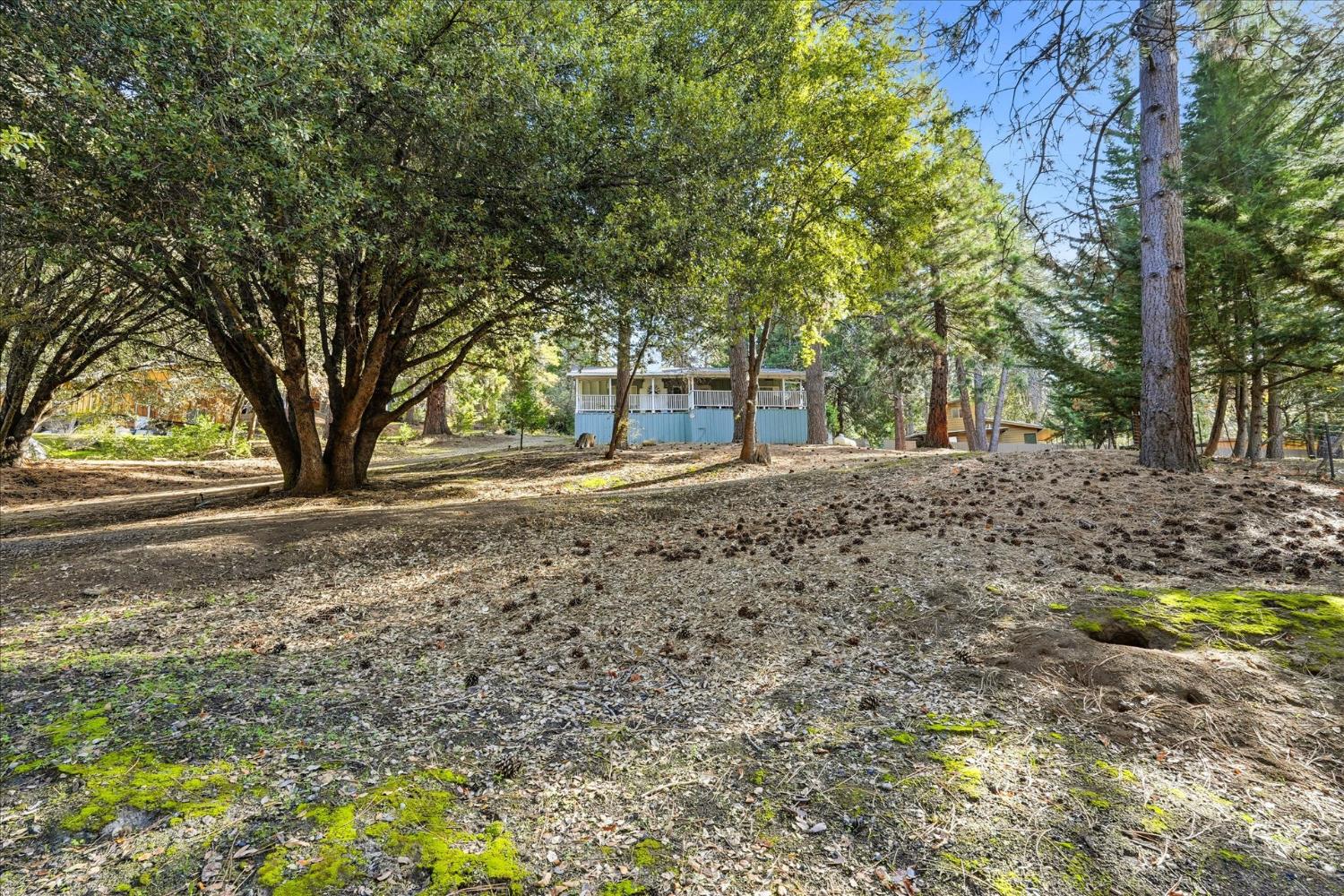 50740 Chu Ranch Road Oakhurst, CA 93644 - Photo 37 of 37 a view of dirt yard with a trees