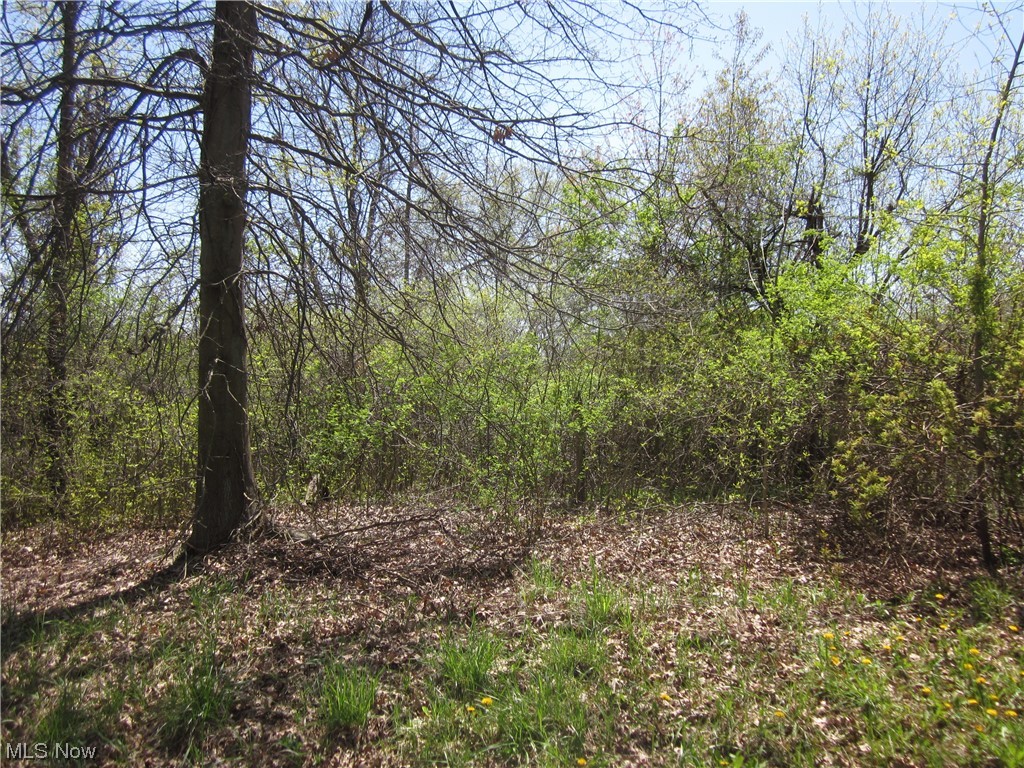 V/l Clark Road Atwater, OH 44201 - Photo 2 of 2