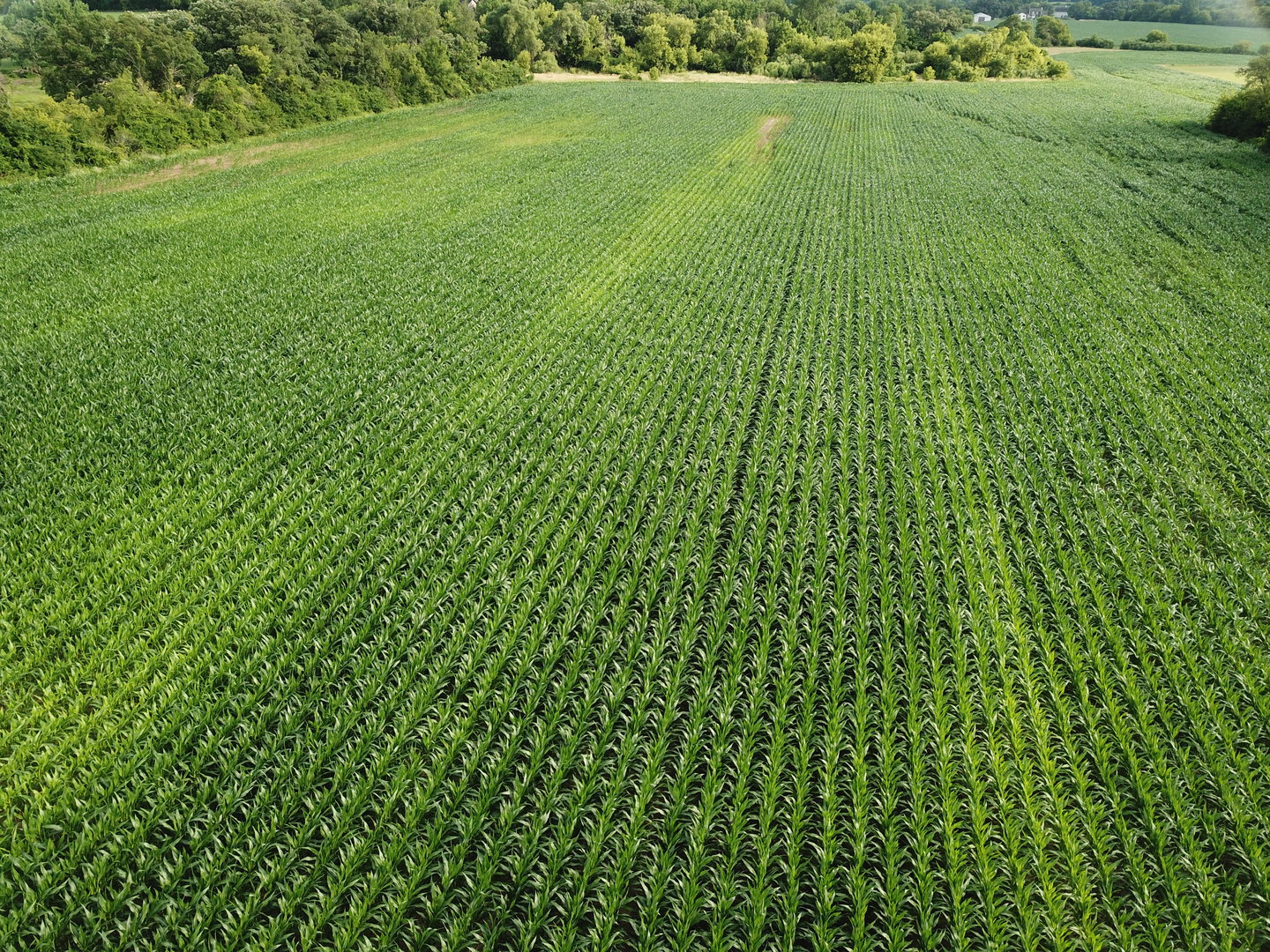 0 Streit Road Harvard, IL 60033 - Photo 3 of 7