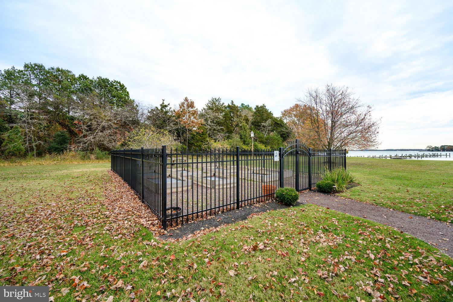 23961 Lynnewood Drive St. Michaels, MD 21663 - Photo 62 of 81 a view of a backyard with large trees