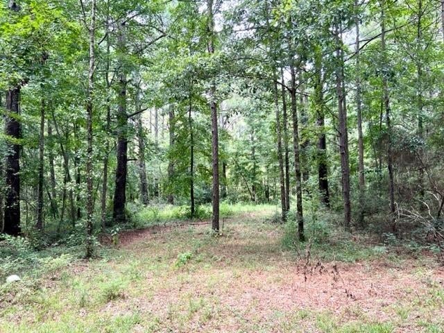 0 Ellis Griggs Road Andalusia, AL 36420 - Photo 3 of 10 Gallery Image 3