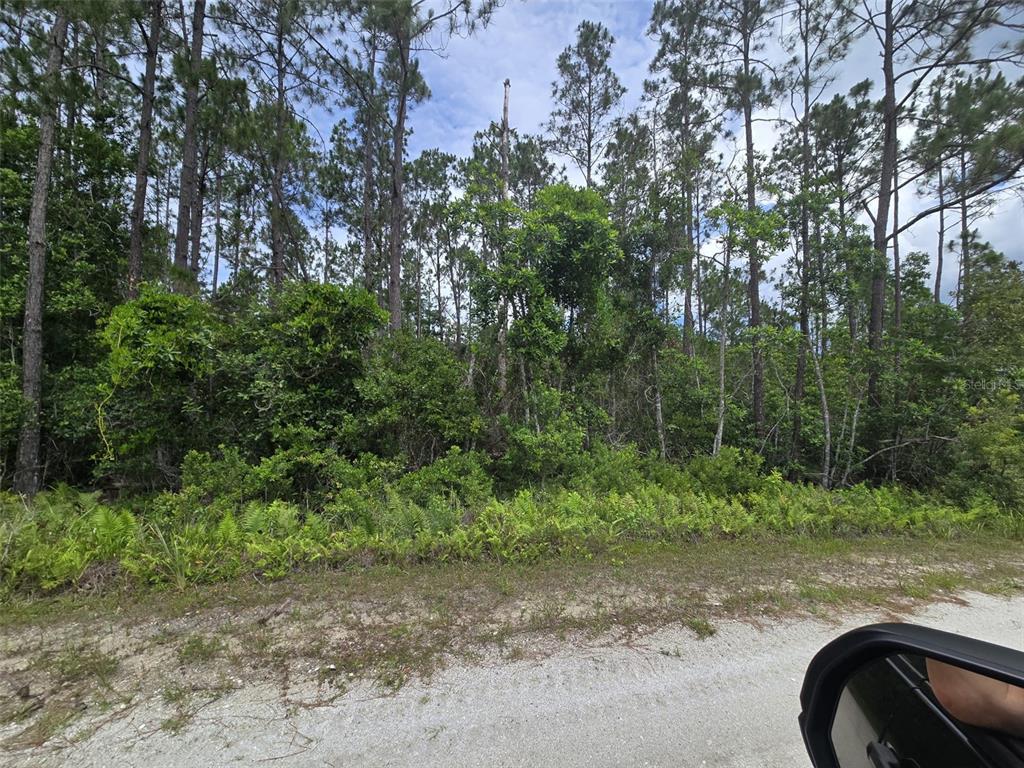 1135 Omega Ranch Road, Unit 4&5 Deltona, FL 32738 - Photo 8 of 11 a view of a yard and trees