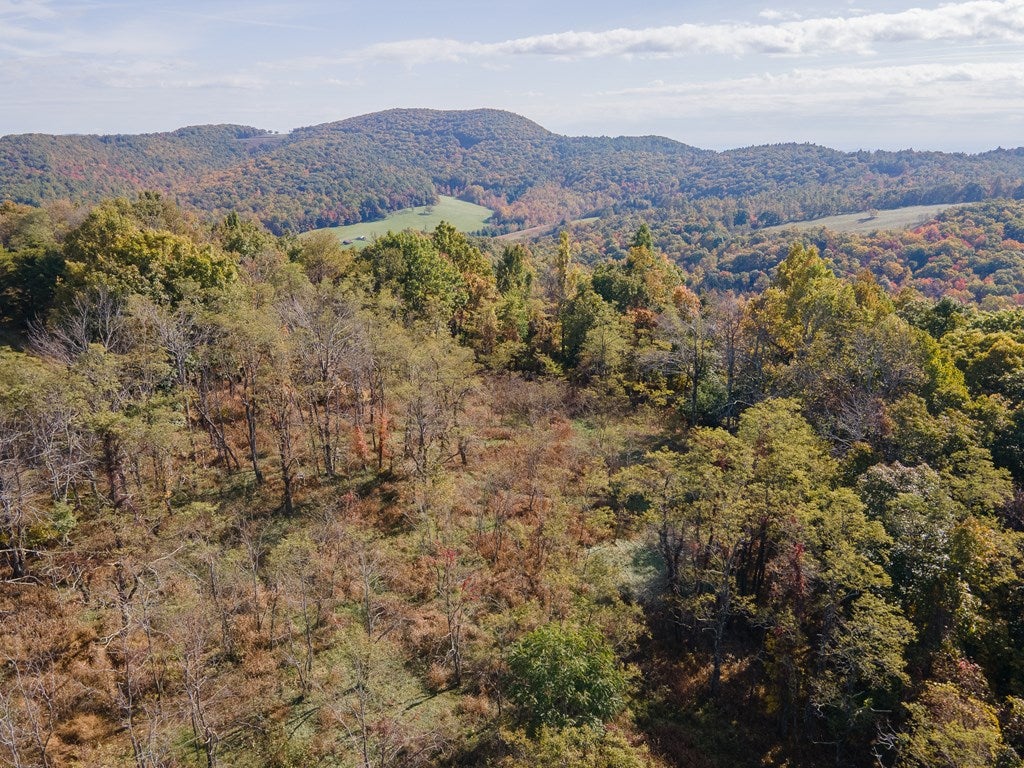Tbd Tbd Fairview Church Road Floyd, VA 24091 - Photo 26 of 36 Gallery Image 26