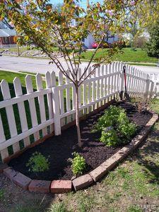907 Logan Street Alton, IL 62002 - Photo 3 of 28 Gallery Image 3