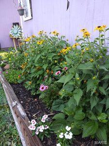 907 Logan Street Alton, IL 62002 - Photo 21 of 28 Gallery Image 21