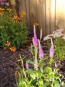 907 Logan Street Alton, IL 62002 - Photo 22 of 28 Gallery Image 22