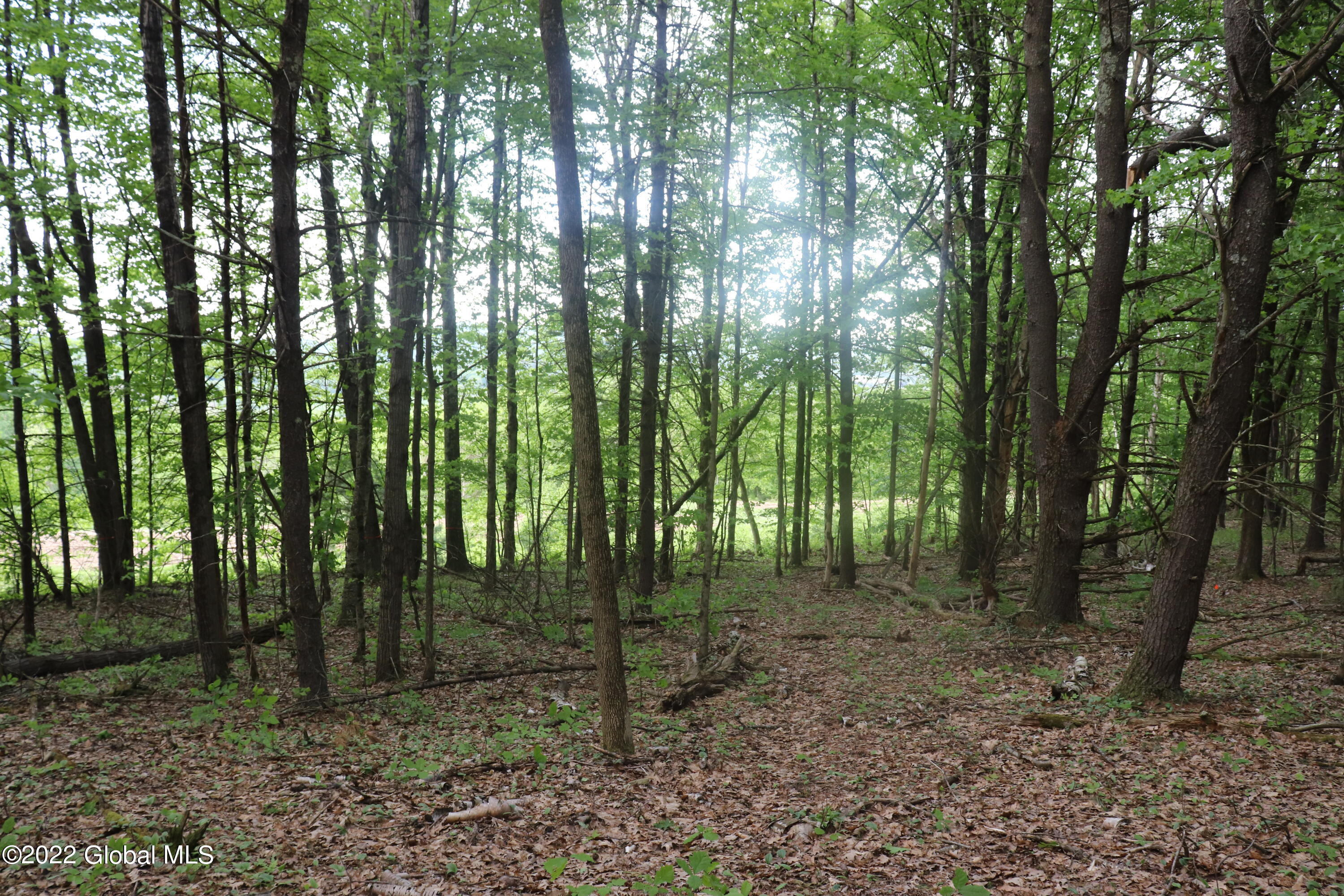 294 Beck Road Hoosick, NY 12057 - Photo 11 of 21 IMG_0062 (2)