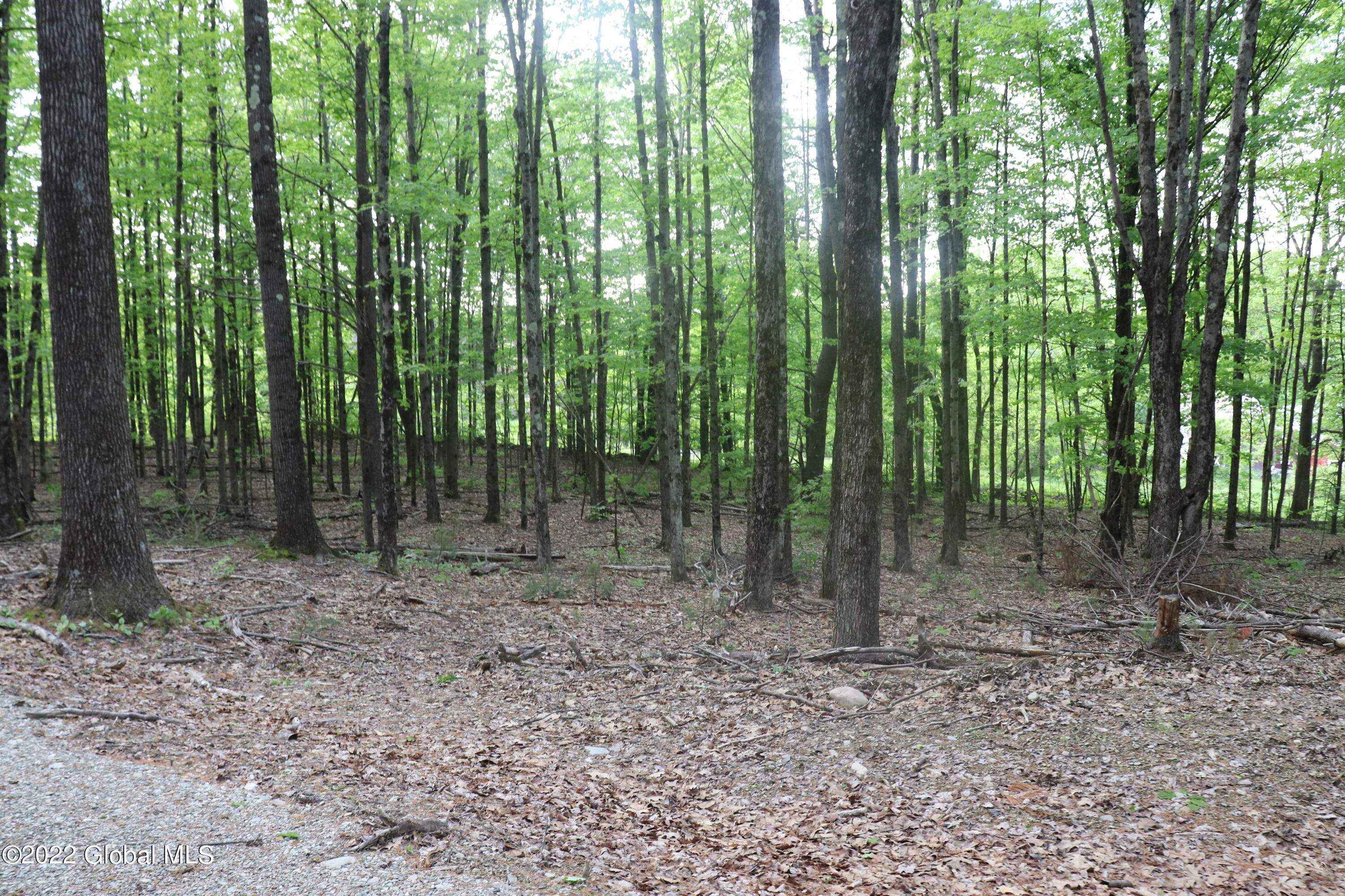 294 Beck Road Hoosick, NY 12057 - Photo 14 of 21 IMG_0066 (2)