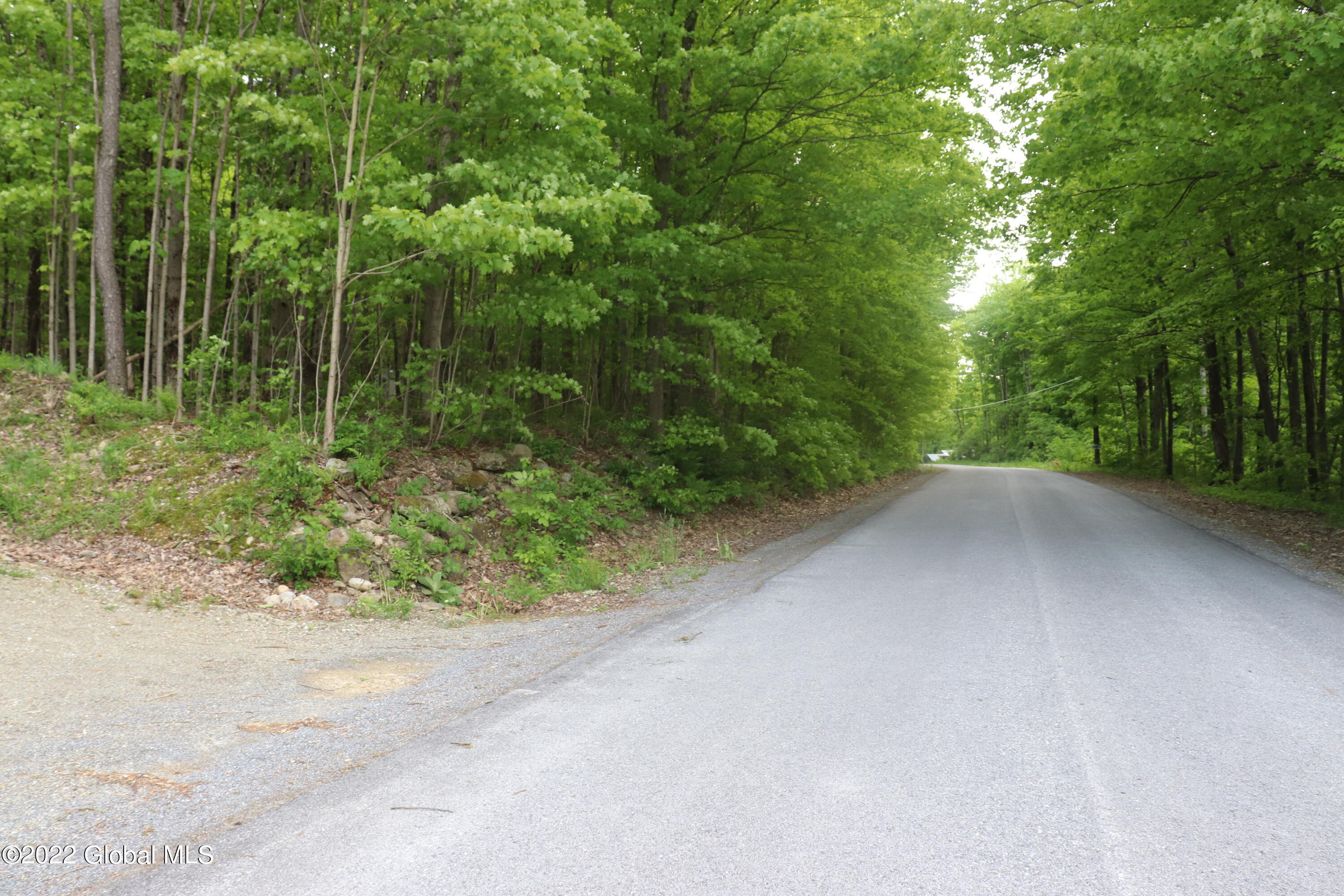 294 Beck Road Hoosick, NY 12057 - Photo 20 of 21 IMG_0074 (2)