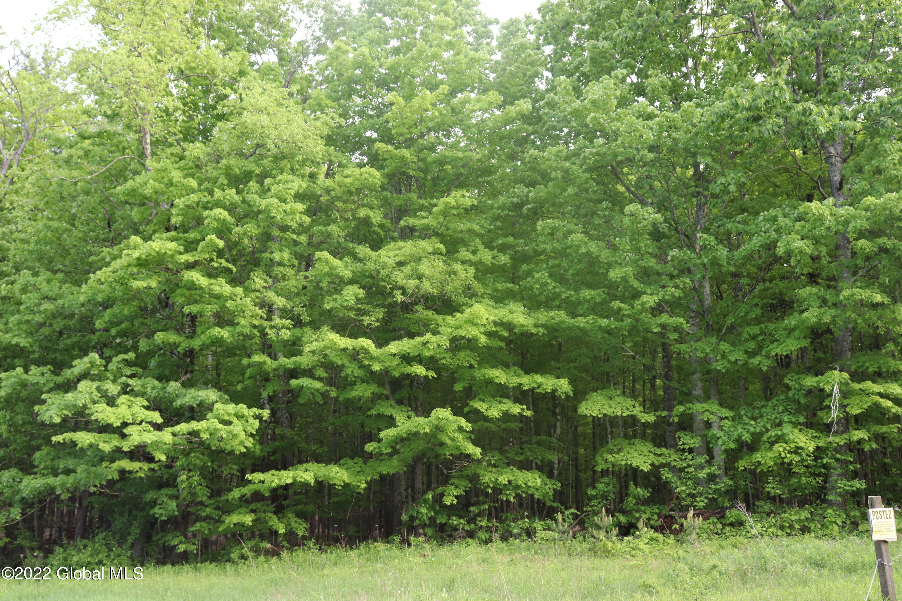 294 Beck Road Hoosick, NY 12057 - Photo 21 of 21 IMG_0075 (2)