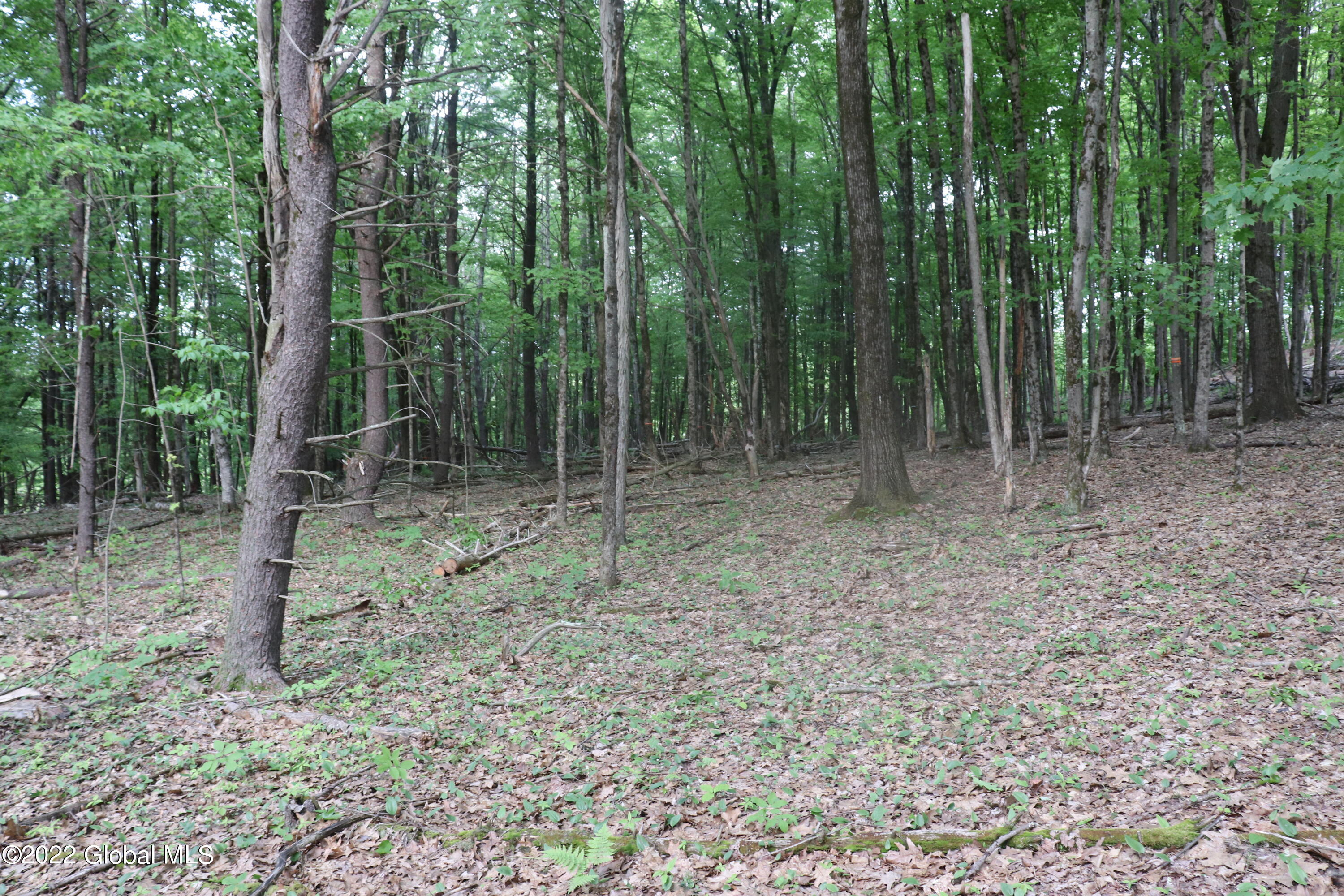 IMG_0057 (2)