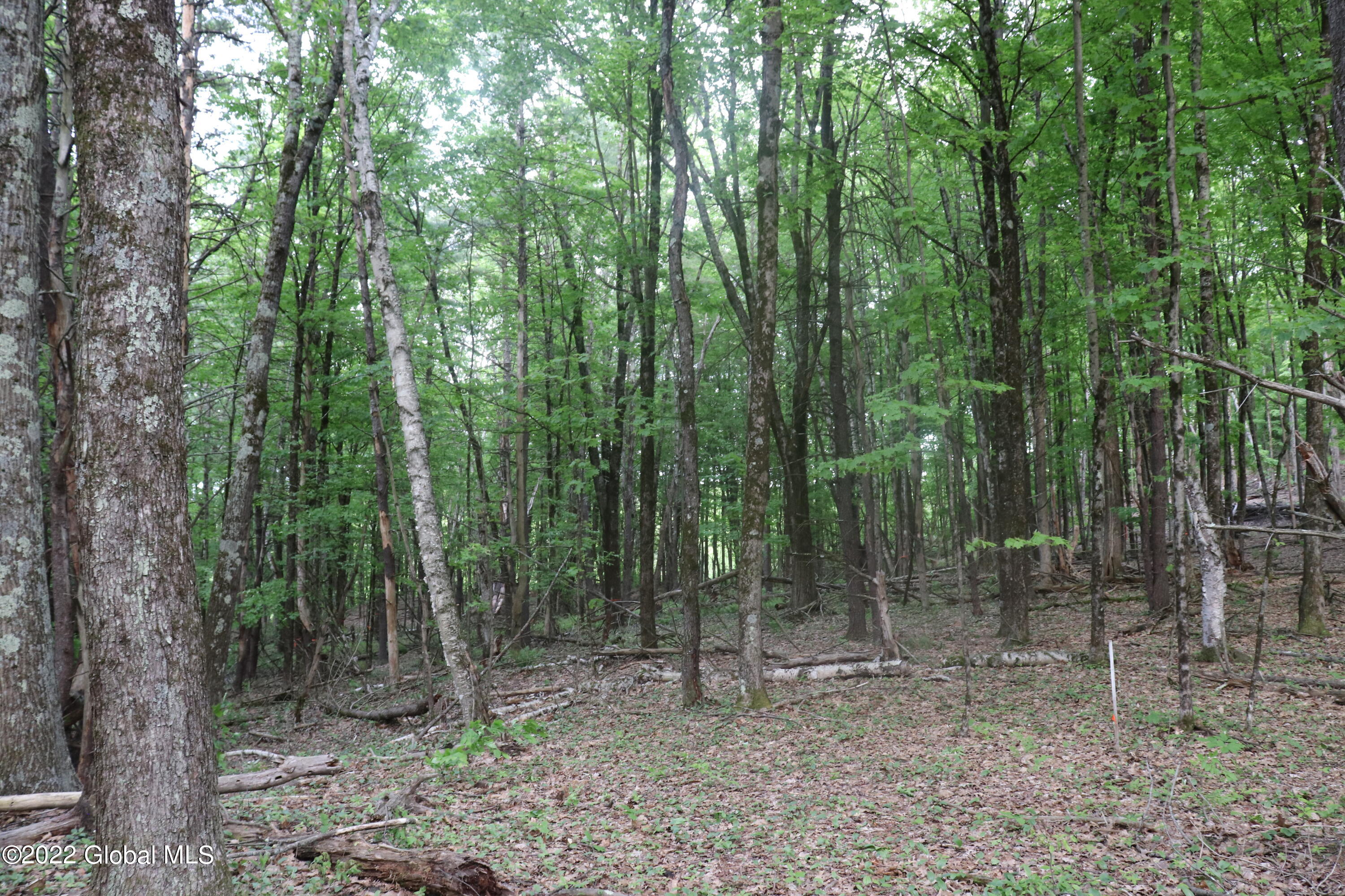 294 Beck Road Hoosick, NY 12057 - Photo 10 of 21 IMG_0061 (2)