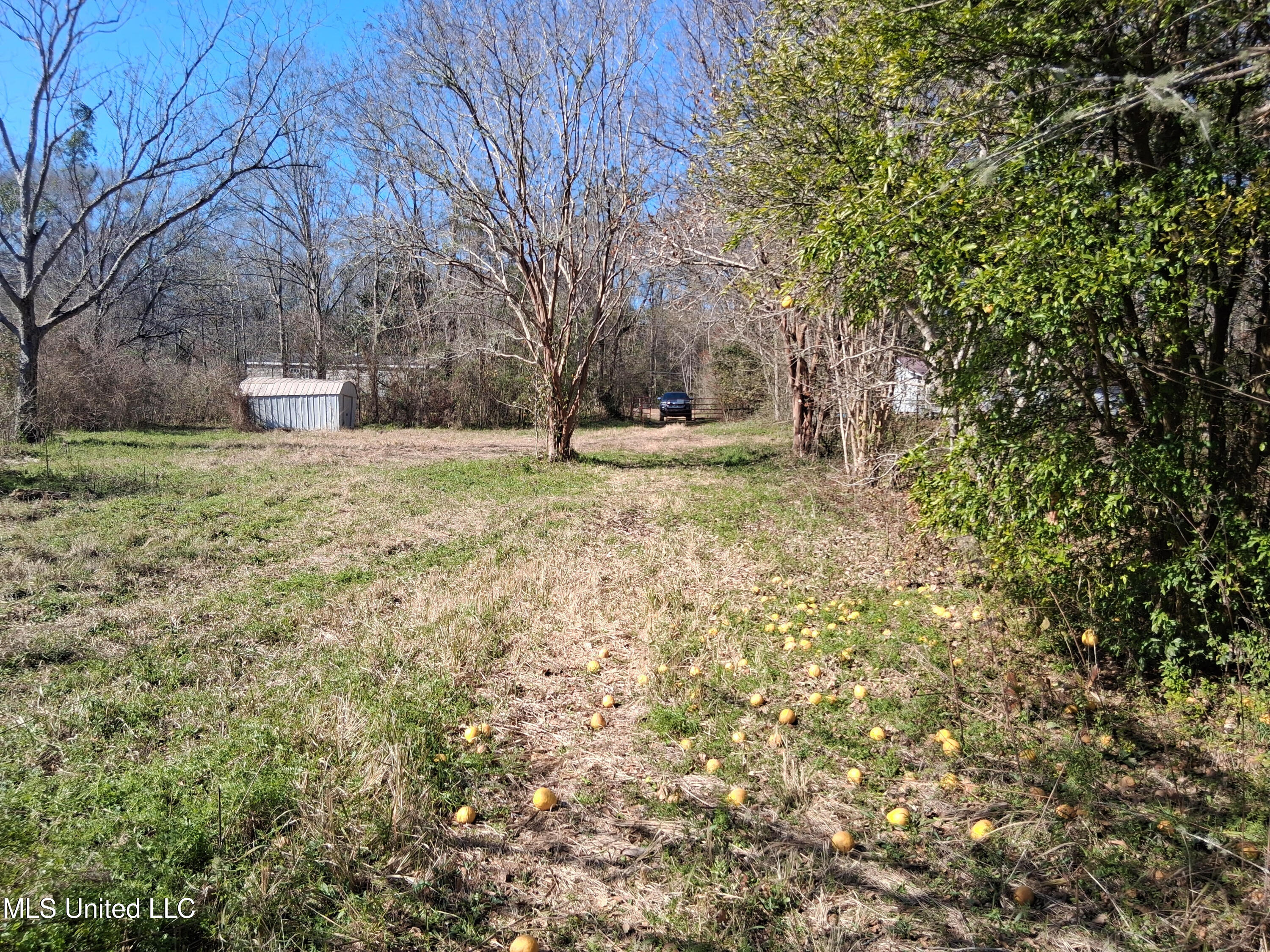 15208 Old River Road Vancleave, MS 39565 - Photo 22 of 24 18