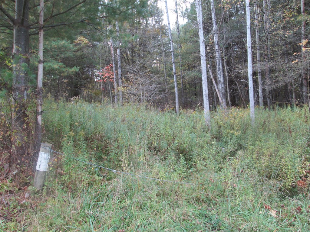 0 Pleasant Valley Road Friendship, NY 14739 - Photo 1 of 1