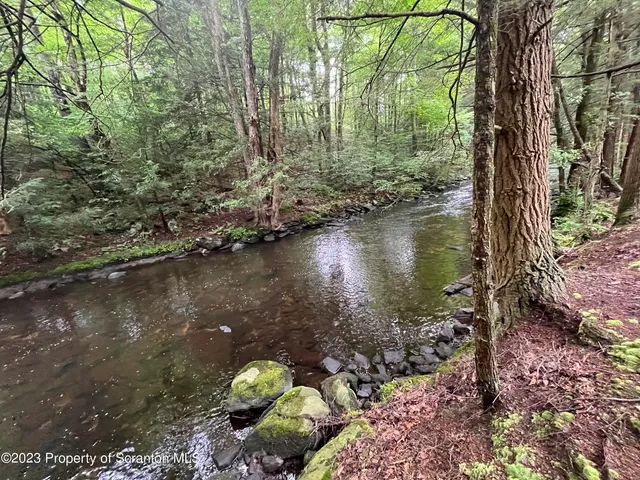a view of a lake with a tree