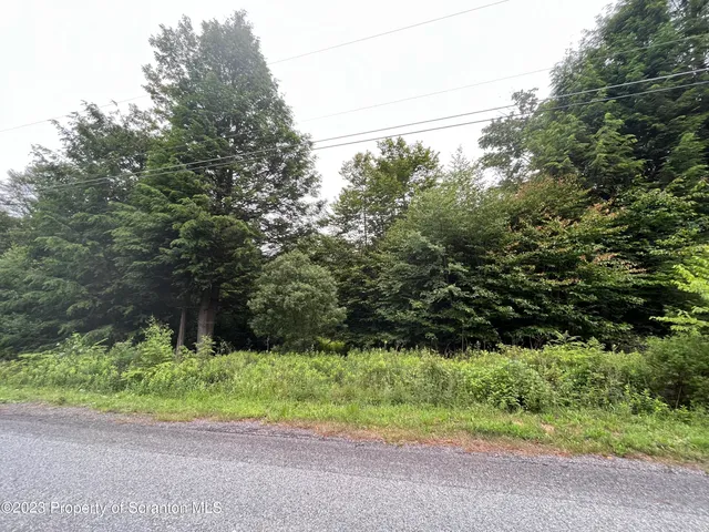 a view of backyard with green space