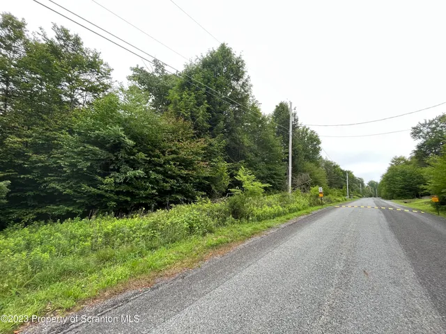 a view of a garden with plants and a building