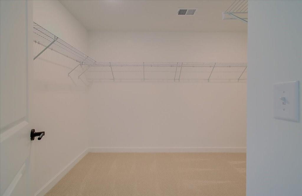 302 Evie Lane Canton, GA 30115 - Photo 39 of 45 a view of a rack on the wall